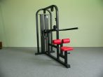 Triceps machine, dipping