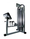 Biceps machine, standing