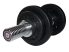 Dumbbell bar (with collars)